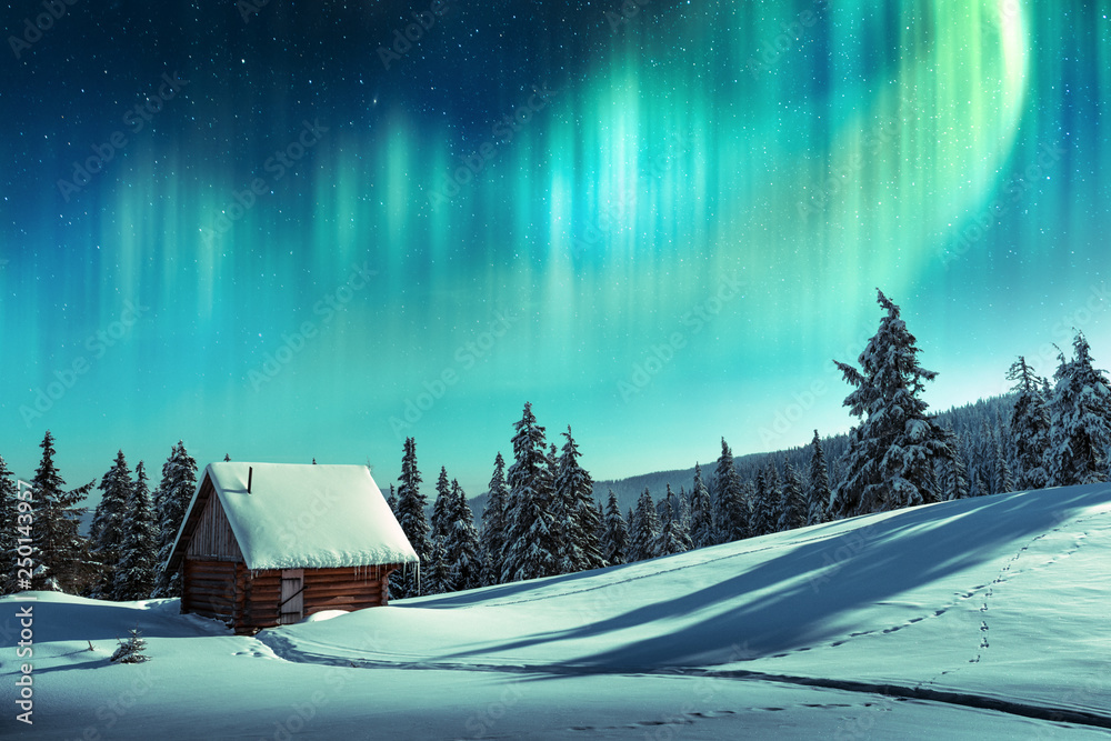 schwedische und finnische Lebensmittel- Schneelandschaft mit Nordlichter am Himmel